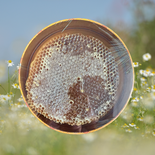 Doğal Karakovan Çiçek Balı - 1500 Gr